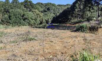 Imagem 2: CHÁCARA 6.711M² COM LUZ E ÁGUA ENCANADA, A 800MT DO ASFALTO, MANDIRITUBA, FN 99864-4995 OU