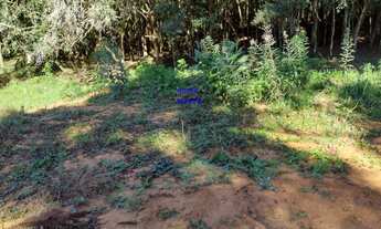 Imagem 6: CHÁCARA 6.711M² COM LUZ E ÁGUA ENCANADA, A 800MT DO ASFALTO, MANDIRITUBA, FN 99864-4995 OU