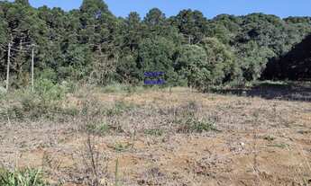 Imagem 7: CHÁCARA 6.711M² COM LUZ E ÁGUA ENCANADA, A 800MT DO ASFALTO, MANDIRITUBA, FN 99864-4995 OU