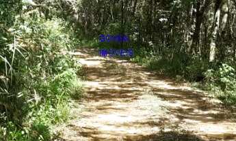 Imagem: ÁREA DE 20.MIL M² ESCRITURADA E REGISTRADA