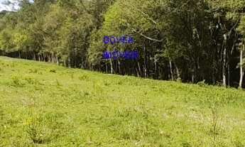 Imagem 3: CHÁCARA, 24.200M², COM 3 CASAS, NASCENTES DE ÁGUA, INTERNET VIA CABO, 2 KM DO ASFALTO, CON