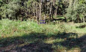 Imagem 5: CHÁCARA 6.711M² COM LUZ E ÁGUA ENCANADA, A 800MT DO ASFALTO, MANDIRITUBA, FN 99864-4995 OU