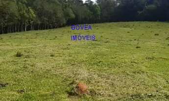 Imagem 7: CHÁCARA, 24.200M², COM 3 CASAS, NASCENTES DE ÁGUA, INTERNET VIA CABO, 2 KM DO ASFALTO, CON