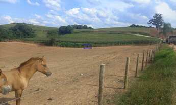 Imagem 4: CHÁCARA 18.000 M² COM CASA 300M² NOVA ALVENARIA, COM ESCRITURA E REGISTRO DE IMÓVEIS, PROX