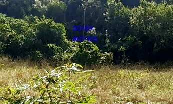 Imagem 3: CHÁCARA 6 MIL M² A UM KM DA IGREJA DO SERRINHA, COM ESCRITURA E REGISTRO DE IMÓVEIS, CASA