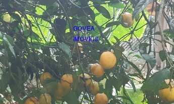 Imagem 6: CHÁCARA 6 MIL M² A UM KM DA IGREJA DO SERRINHA, COM ESCRITURA E REGISTRO DE IMÓVEIS, CASA