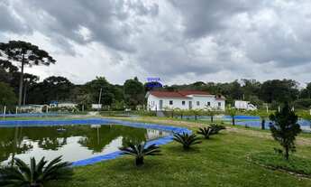 Imagem: CHÁCARA 3/7 ALQUEIRES, ALTO PRODUTIVA