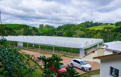 Imagem 2: CHÁCARA 3/7 ALQUEIRES, ALTO PRODUTIVA, LAZER, CONFORTO E TRANQUILIDADE COM ESTUFA MORANGO