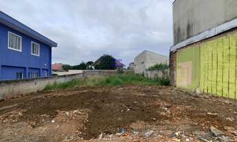 Imagem 4: TERRENO FRENTE AV. TOALDO TULIO, PROX MANOEL RIBAS, TERMINAL E RUA DA CIDADANIA STA FELICI