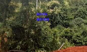 Imagem 3: CHÁCARA 7 MILM², ESCRITURADA, ACEITA VEICULO, ESTUDA PERMUTA OU PARCELAMENTO C/ PROPRIETÃR