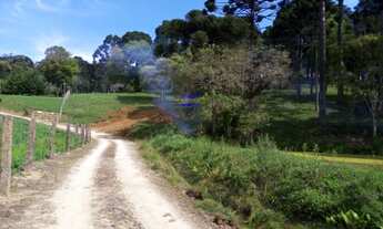 Imagem: CHÁCARA 7 MILM², ESCRITURADA, ACEITA VEICULO