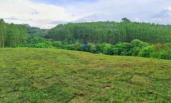 Imagem 2: Ótima chácara urbana sta felicidade 2 KM do Colégio Internacional de Curitiba. Com 5.800