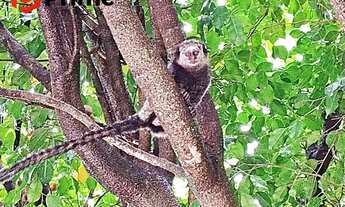 Imagem 4: APARTAMENTO À VENDA PRÓXIMO DO CENTRO DE GUARAPARI;ES, EM CONDOMÍNIO PRÓXIMO A SUPERMERCAD