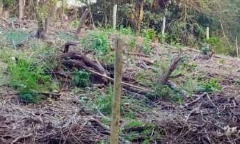 Imagem 5: TERRENO AMPLO À VENDA EM MEAÍPE COM 380M² EM UMA DAS REGIÕES MAIS VALORIZADAS DE GUARAPARI