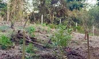 Imagem 3: TERRENO AMPLO À VENDA EM MEAÍPE COM 380M² EM UMA DAS REGIÕES MAIS VALORIZADAS DE GUARAPARI