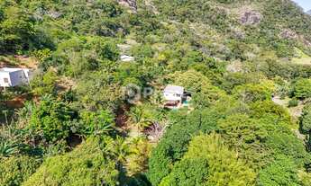 Imagem 4: SÍTIO À VENDA EM JABOTI, 6.000M² COM CASA DUPLEX, 2 SUÍTES E ÁGUA NO TERRENO, PRÓXIMO À RO