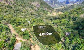 Imagem 2: SÍTIO À VENDA EM JABOTI, 6.000M² COM CASA DUPLEX, 2 SUÍTES E ÁGUA NO TERRENO, PRÓXIMO À RO