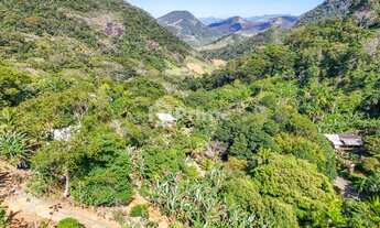 Imagem 5: SÍTIO À VENDA EM JABOTI, 6.000M² COM CASA DUPLEX, 2 SUÍTES E ÁGUA NO TERRENO, PRÓXIMO À RO