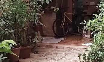 Imagem 2: APARTAMENTO RESIDENCIAL em SÃO CAETANO DO SUL - SP, BARCELONA