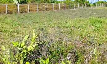 Imagem: Excelente terreno plano, 2.137,96 m², Busca