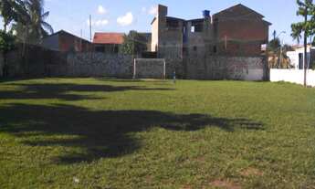 Imagem 2: Excelente Terreno Comercial, 2.700m² plano, 45X60, localização privilegiada, Lauro de Frei