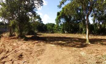 Imagem 3: Excelente terreno plano, 4.500,00 m², oportunidade, Portão, Camaçari, BA