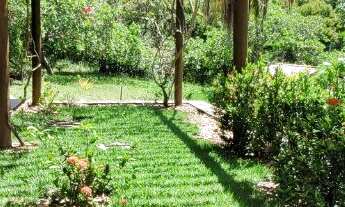 Imagem 4: Maravilhoso Terreno com 44 mil m² de área verde, Sede com 4 quartos, sendo 2 suítes, Busca