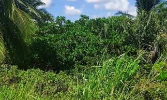 Imagem: Excelente terreno plano, 1.291 m², área