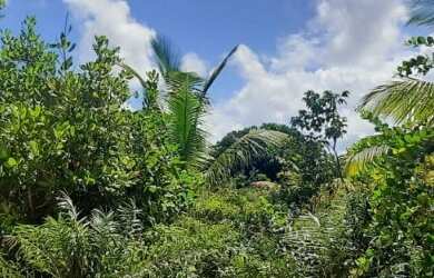 Imagem 2: Excelente terreno plano, 1.291 m², área verde, tranquilidade absoluta, Busca Vida, Camaçar