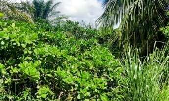 Imagem 3: Excelente terreno plano, 1.291 m², área verde, tranquilidade absoluta, Busca Vida, Camaçar