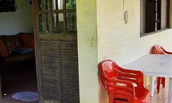 Imagem 5: Excelente Chácara com terreno amplo repleto de árvores frutíferas, com sede com 6 quartos