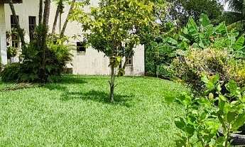 Imagem 3: Excelente Chácara com terreno amplo repleto de árvores frutíferas, com sede com 6 quartos