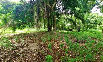 Imagem 3: Excelente terreno plano, 1.660,95 m², oportunidade, Busca Vida, Camaçari, BA