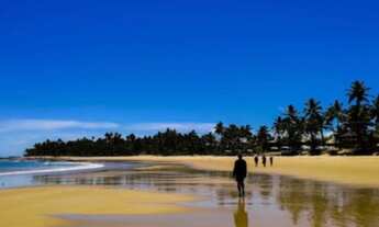 Imagem 4: APARTAMENTO RESIDENCIAL em MARAÚ - BA, Barra Grande