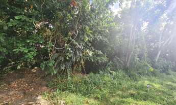 Imagem: Excelente Terreno Encontro das Águas, escriturado