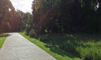 Imagem 3: Excelente terreno em condomínio fechado, 600m², Norte Sul, Praia do Forte, Mata de São Joã