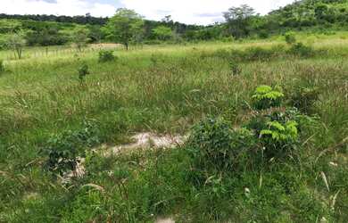 Imagem 4: FAZENDA RURAL em IBIQUERA - BA, CHAPADA DIAMANTINA