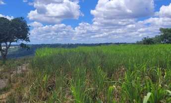 Imagem 4: Excelente Fazenda com 24 tarefas, 100km de Salvador, Conceição do Jacuípe, BA