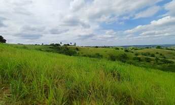 Imagem 7: Excelente Fazenda com 24 tarefas, 100km de Salvador, Conceição do Jacuípe, BA