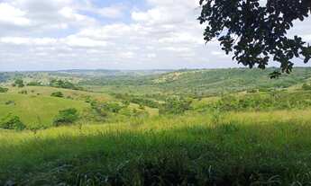 Imagem 6: Excelente Fazenda com 24 tarefas, 100km de Salvador, Conceição do Jacuípe, BA