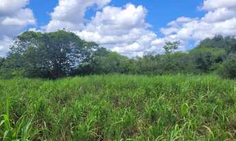 Imagem 3: Excelente Fazenda com 24 tarefas, 100km de Salvador, Conceição do Jacuípe, BA