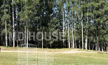 Imagem 3: TERRENO RESIDENCIAL em PARDINHO - SP, ALTO DE PARDINHO