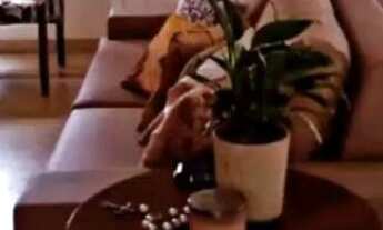 Imagem 6: Sua oportunidade chegou. Venha conhecer esse lindo sobrado no loteamento Chácara Prado