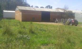 Imagem 4: DEPÓSITO/PAVILHÃO Armazém barracão para Locação Rincão do Cascalho, Portão RS