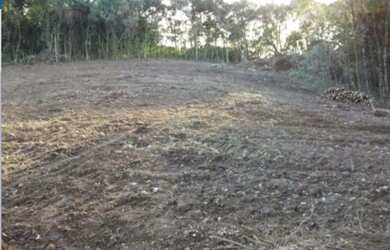 Imagem 5: Terreno para venda em Farroupilha, RS, Área Industrial para venda em Farroupilha RS, Área