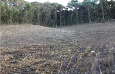Imagem 6: Terreno para venda em Farroupilha, RS, Área Industrial para venda em Farroupilha RS, Área