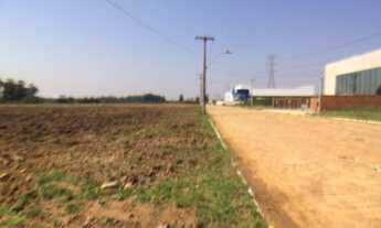 Imagem: Terreno industrial infraestruturado e pronto