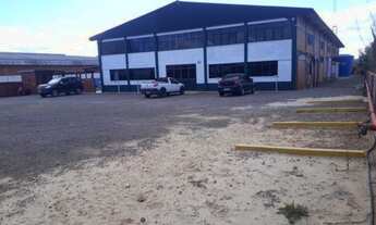 Imagem: Pavilhão para venda em Rosário do Sul