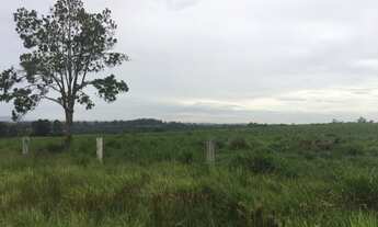 Imagem 3: Área Terreno para Venda em Alvorada, RS, junto a Gravataí, BR290, RS118, zoneamento recent