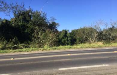 Imagem 4: Área para venda com 50.000m² para implantação Logística ou industrial, o terreno em aclive